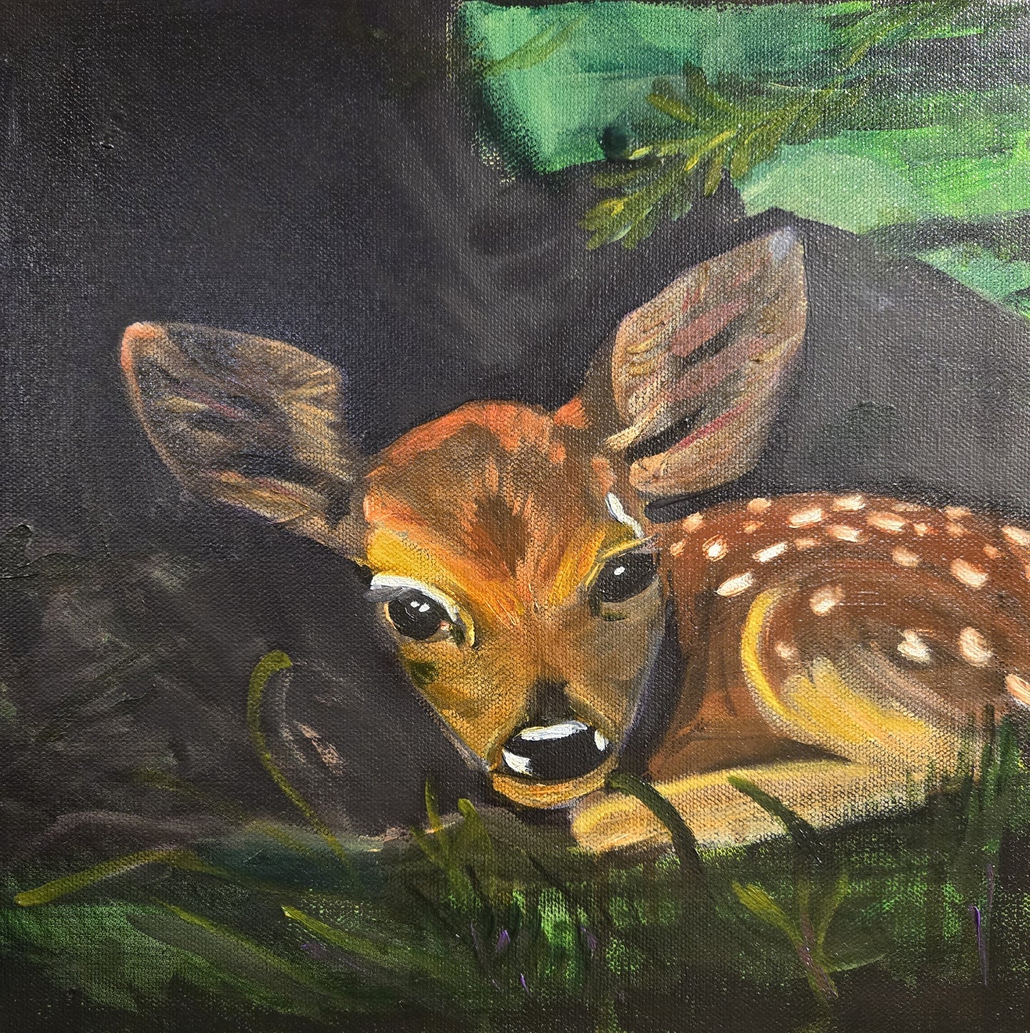 Safe Beginnings
