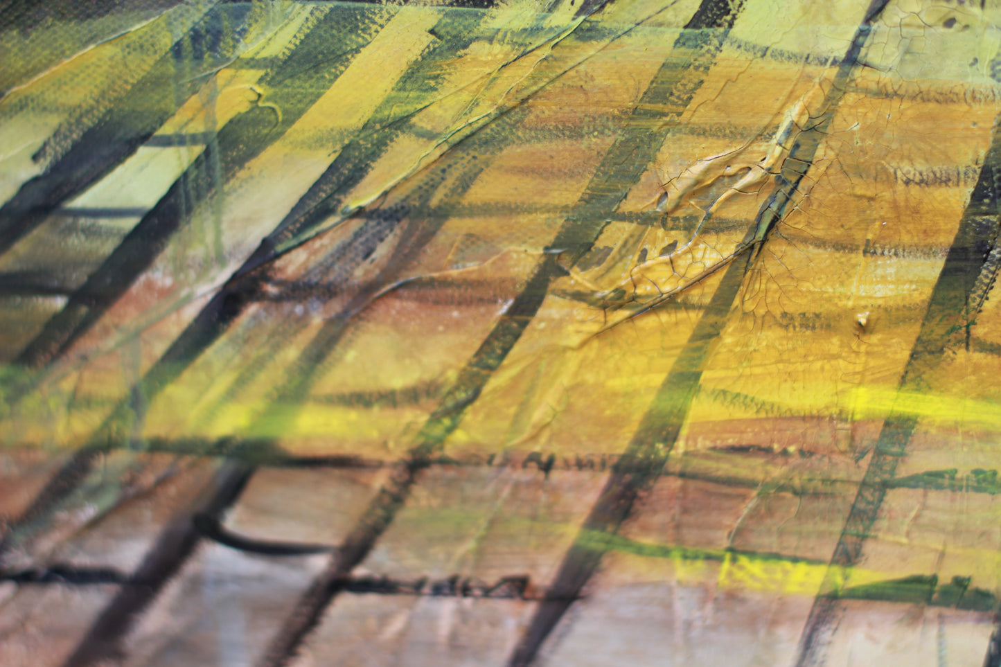 You Belong Here image 3