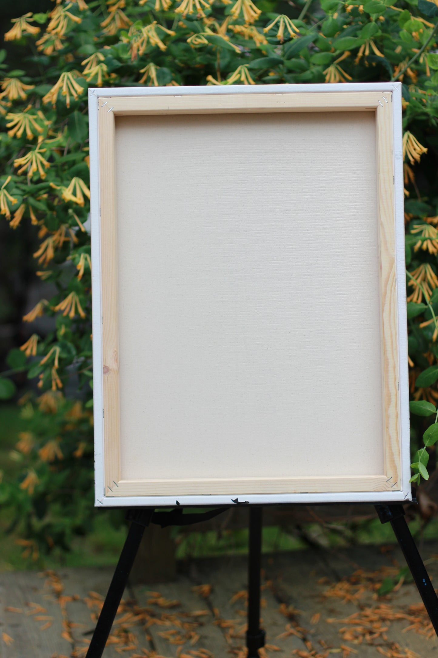 Lamppost Reverie image 5